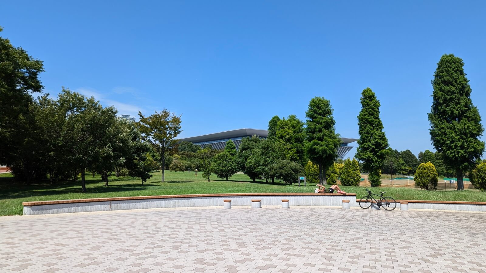 アクアティクスセンター・水泳の日