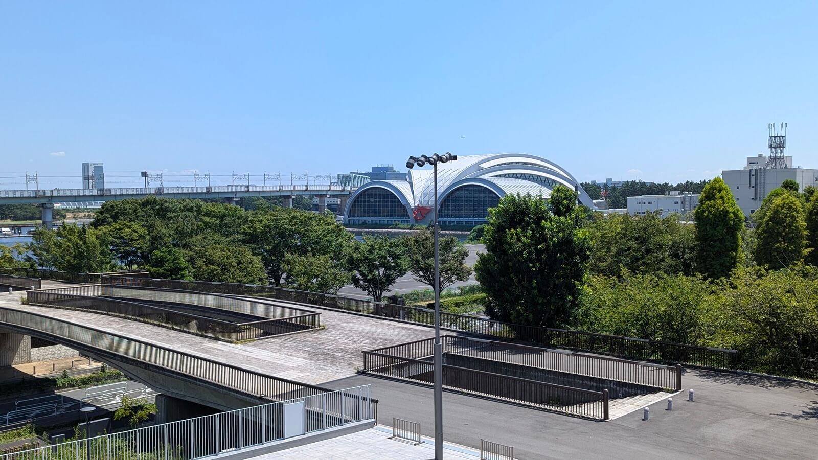 アクアティクスセンター・水泳の日