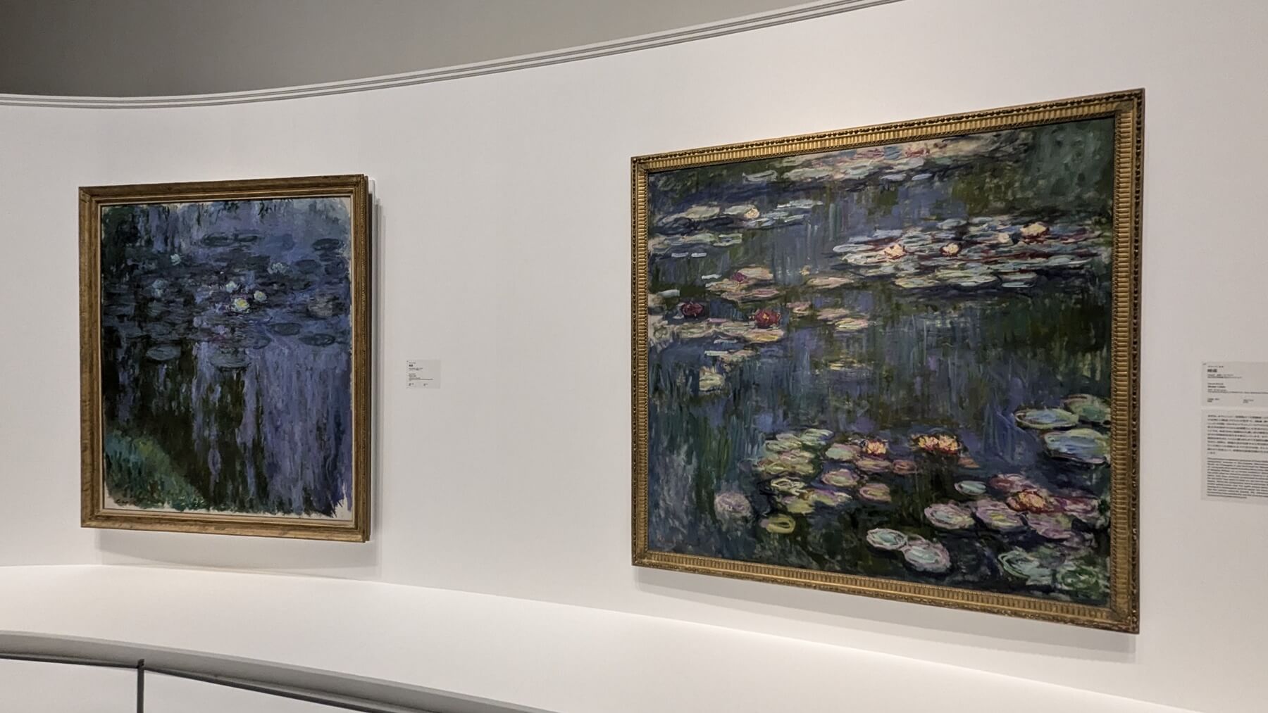 モネ 睡蓮のとき・国立西洋美術館