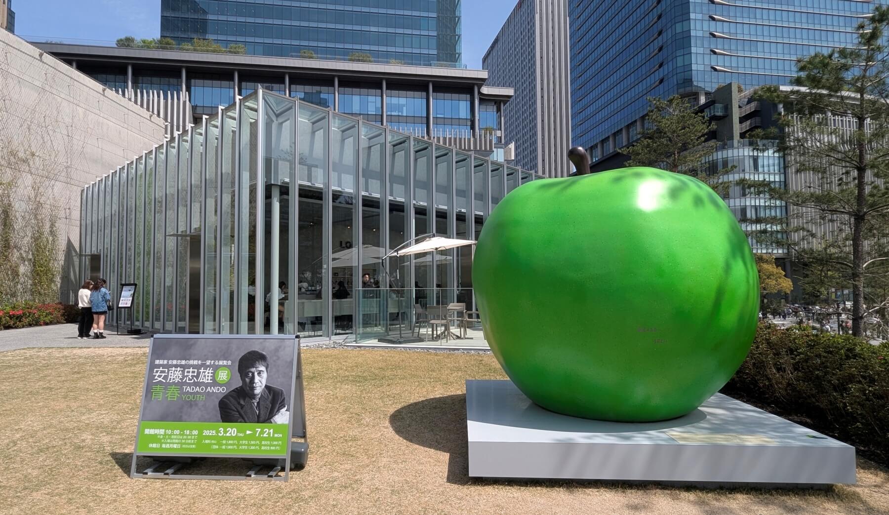 安藤忠雄展・青春