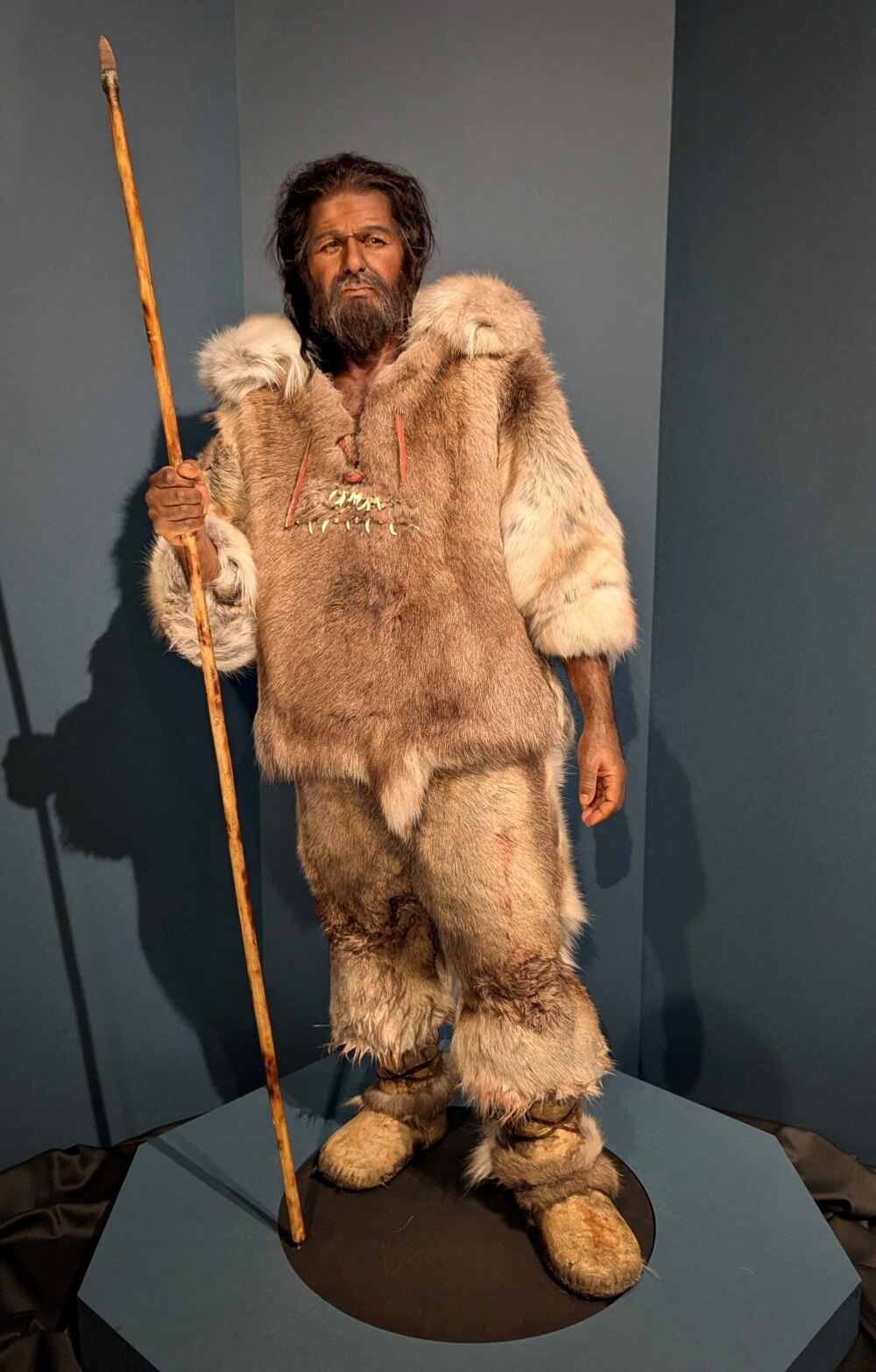 クロマニオン人