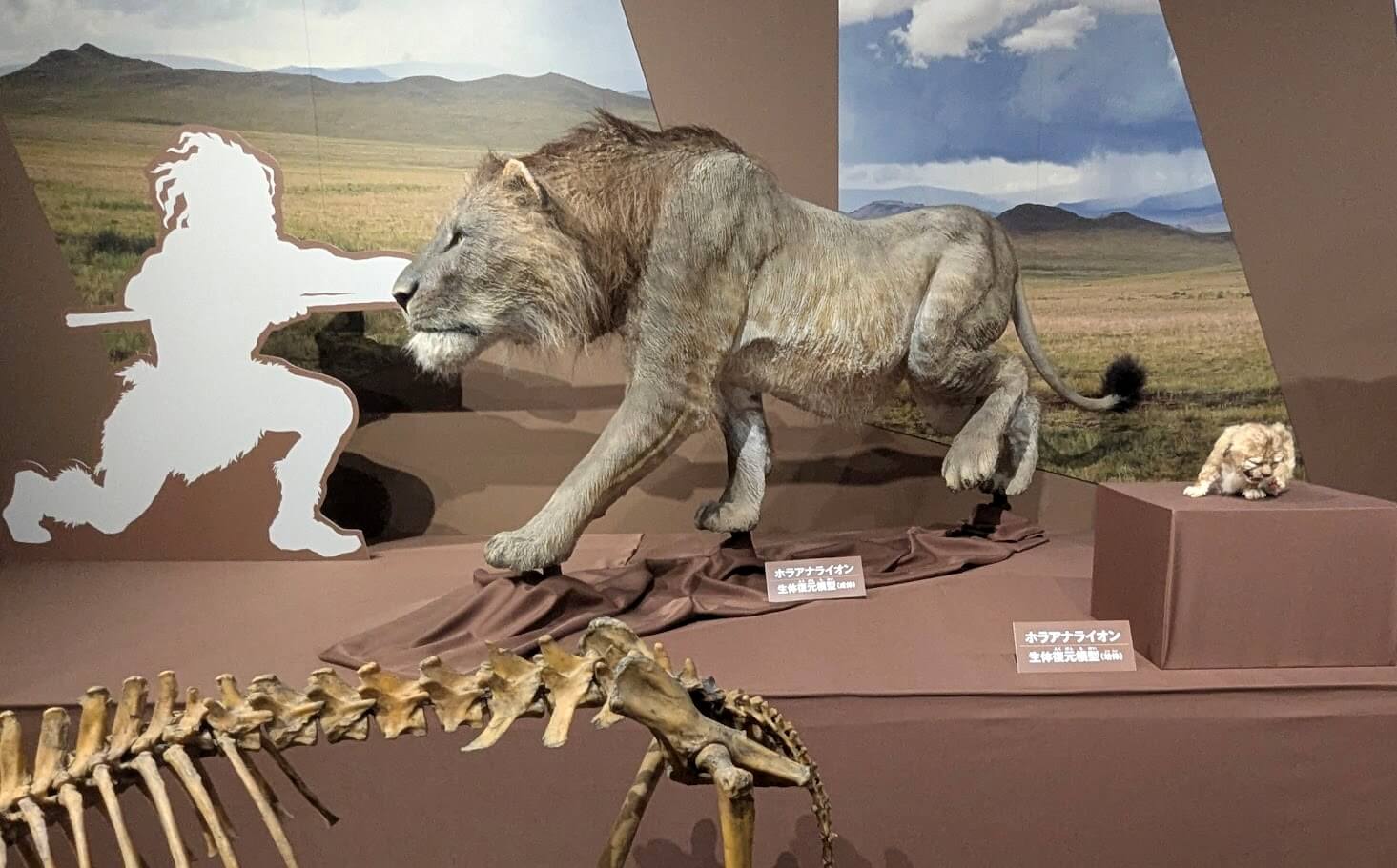 ホラアナライオン