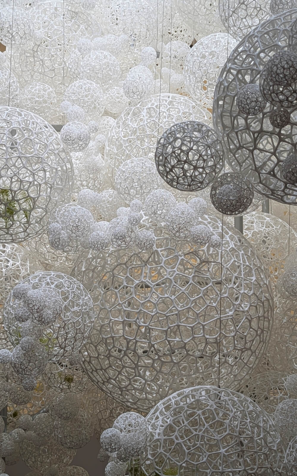 藤本壮介の建築・森美術館