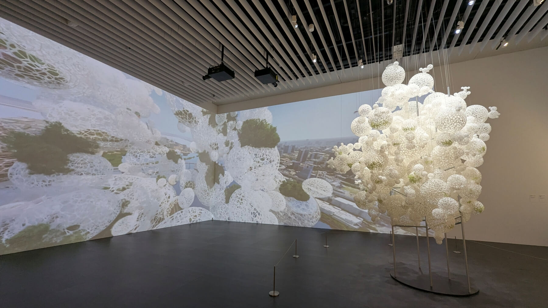 藤本壮介の建築・森美術館