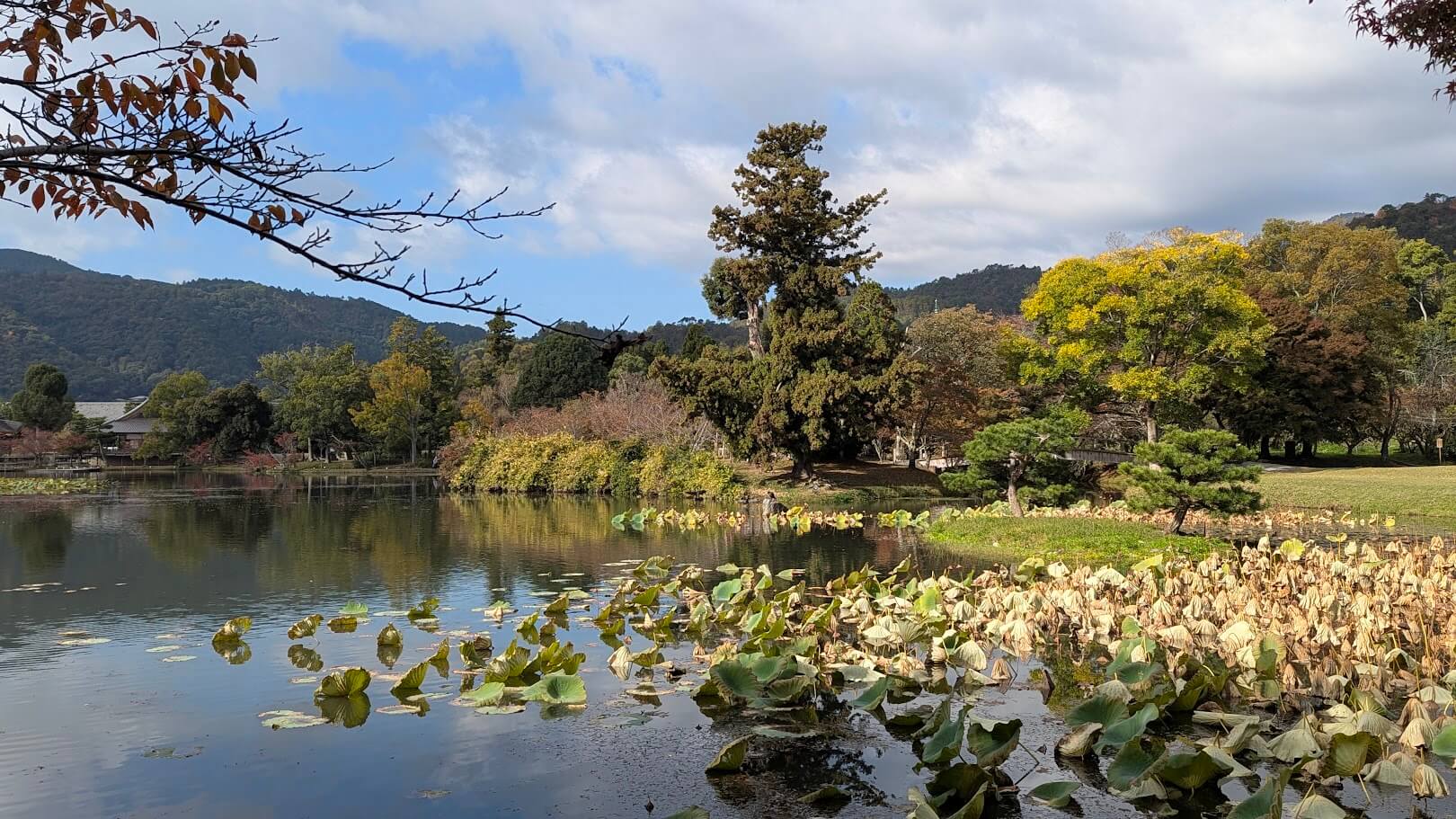 旧嵯峨御所 大覚寺・大沢池