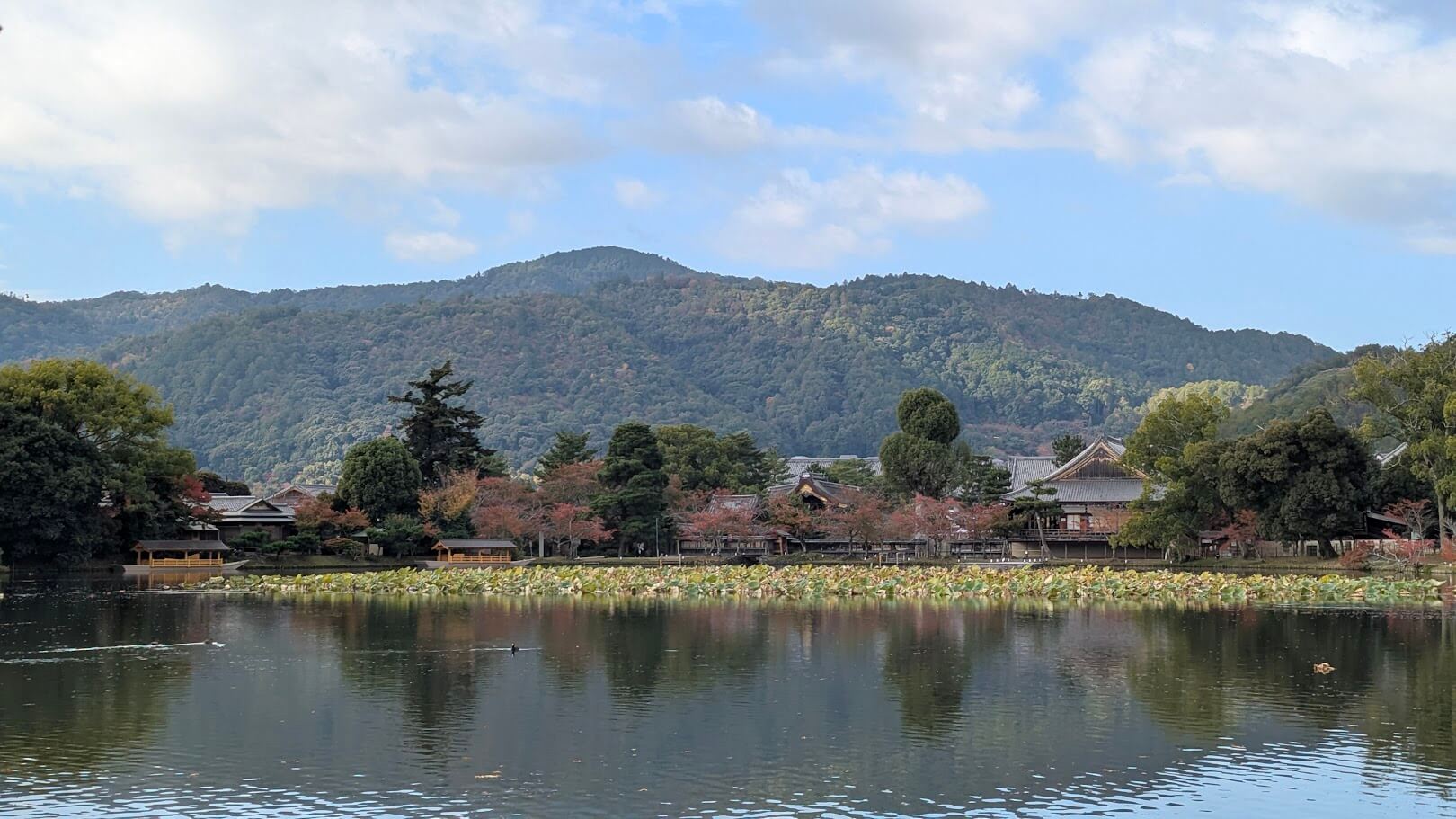旧嵯峨御所 大覚寺・大沢池