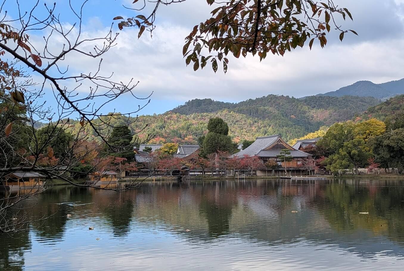 旧嵯峨御所 大覚寺・大沢池
