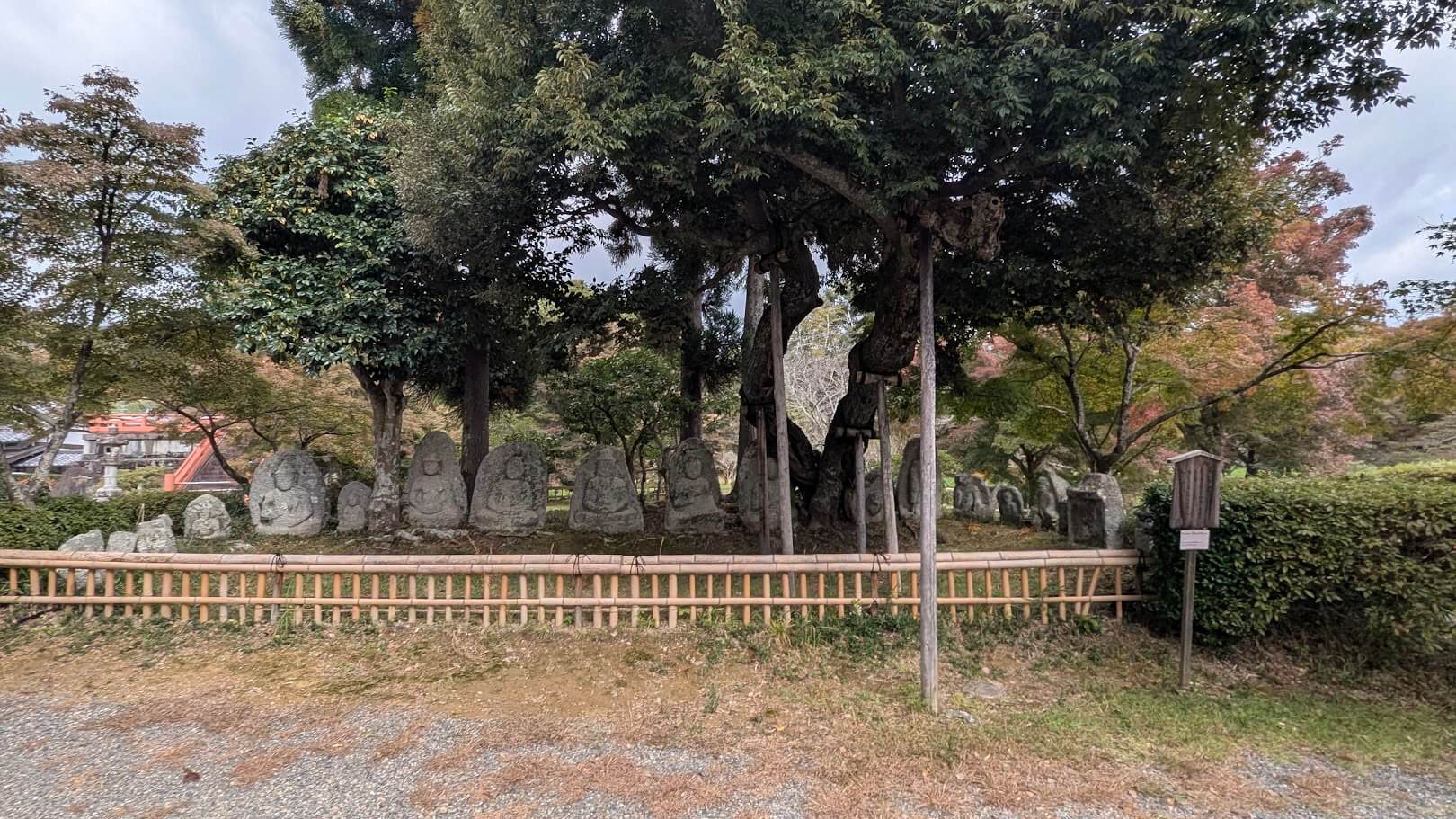 旧嵯峨御所 大覚寺・大沢池