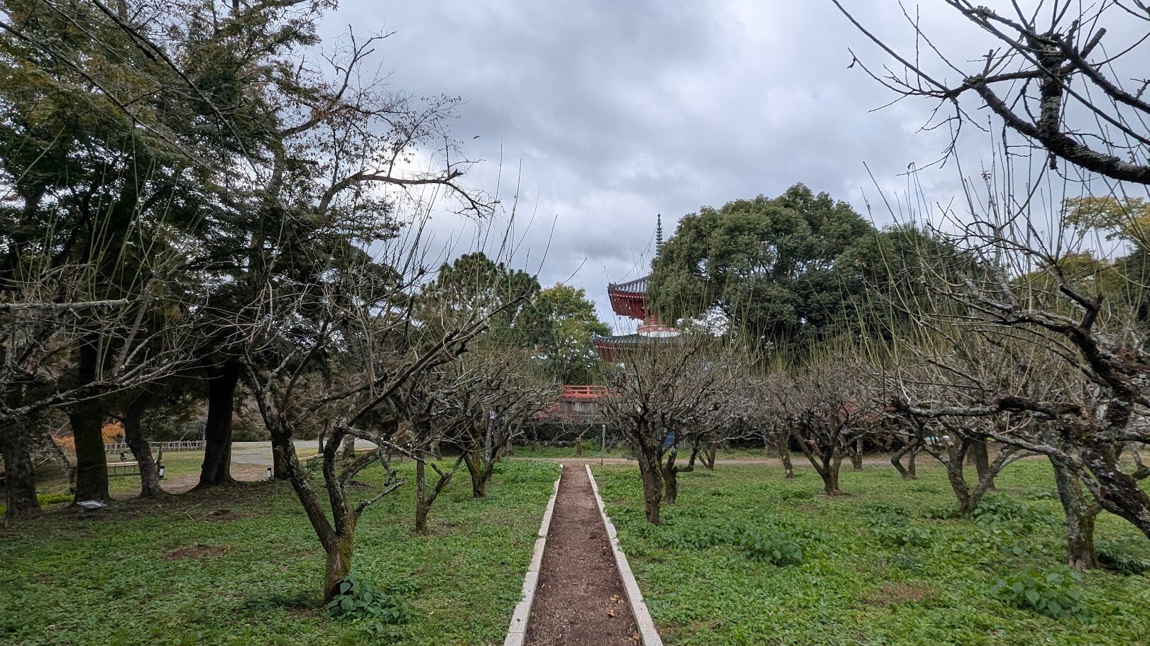 旧嵯峨御所 大覚寺・大沢池