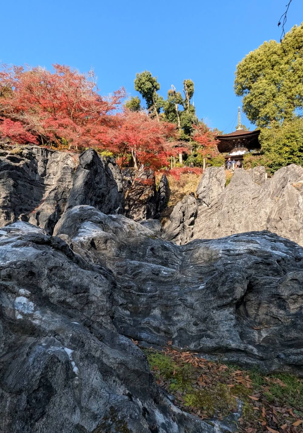 大津・石山寺