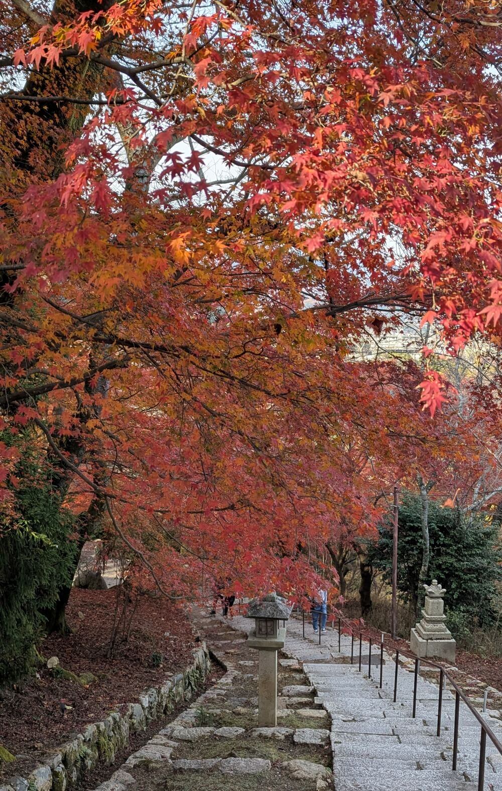 三井寺・観音堂方面