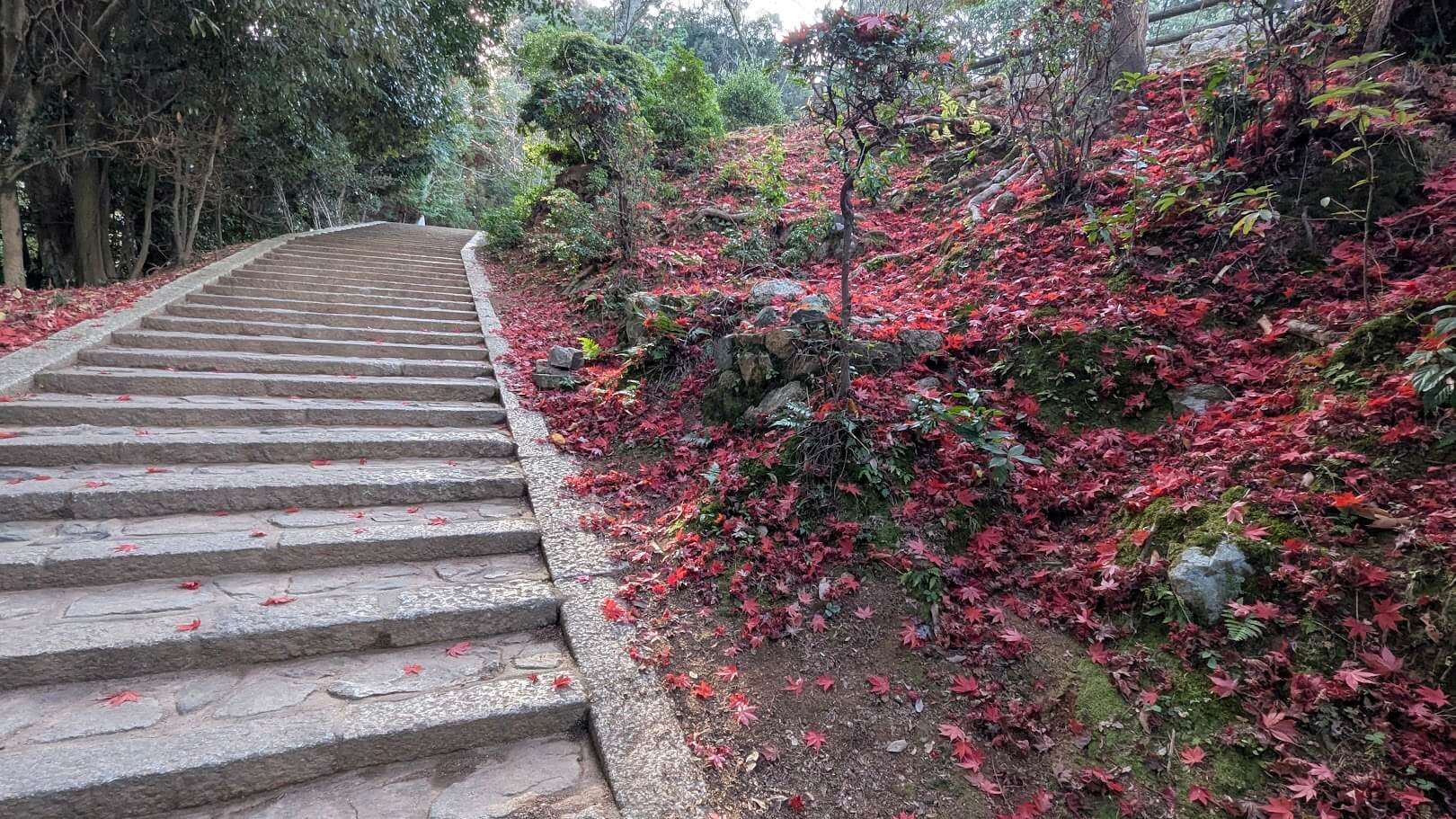 三井寺・観音堂方面