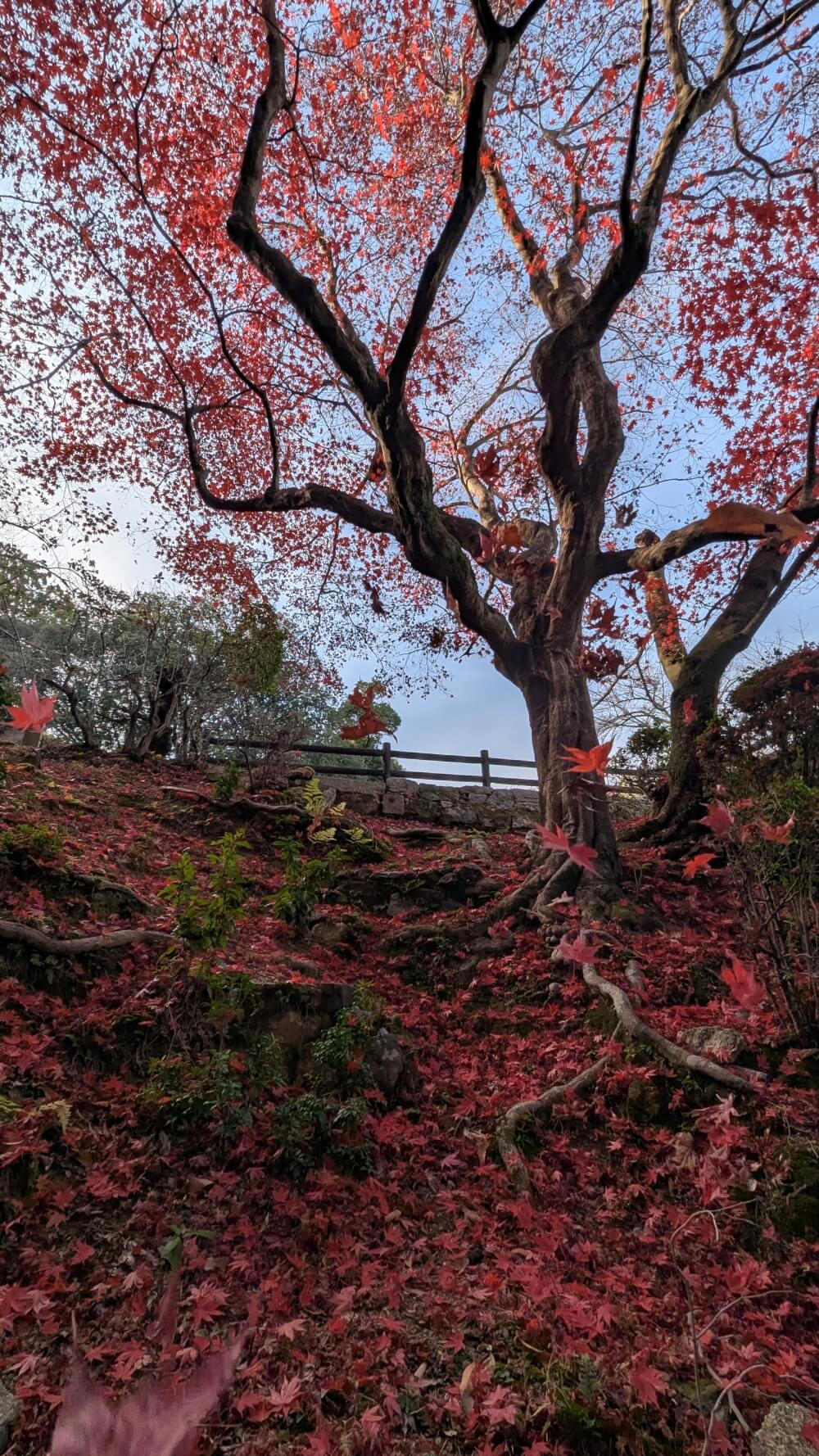 三井寺・観音堂方面