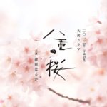 2013年大河ドラマ『八重の桜』