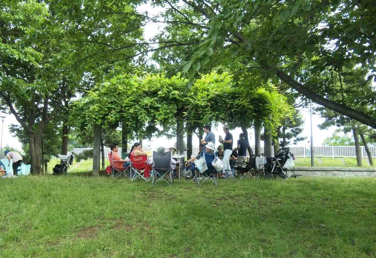 辰巳桜橋下のピクニック