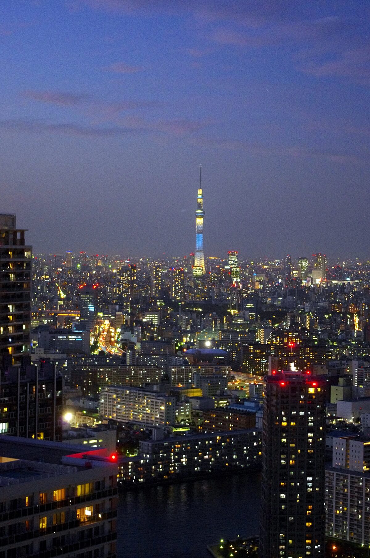 都内屈指の絶景ポイント：東雲のタワーマンション180mからの夕焼け　東京スカイスリー (6)