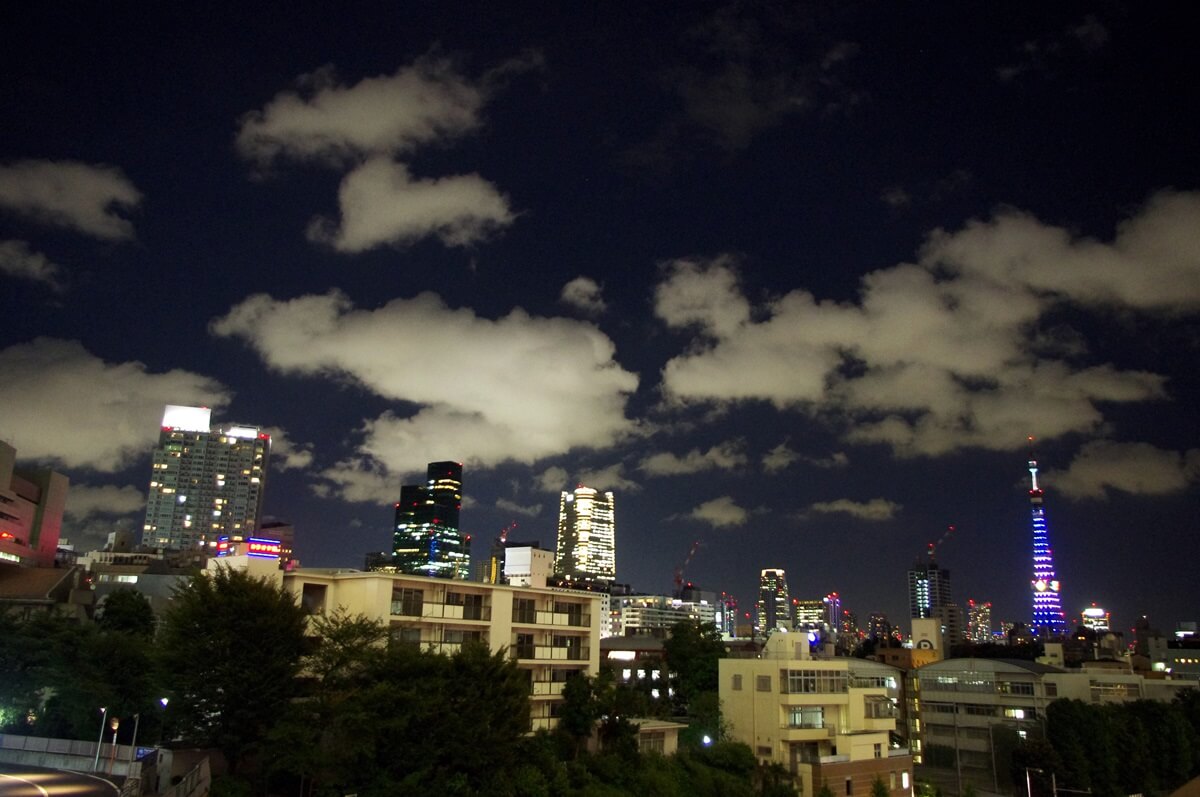 夜の東京タワー (1)
