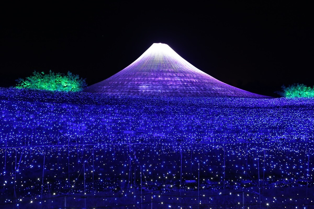 なばなの里　世界遺産富士山イルミネーション (6)