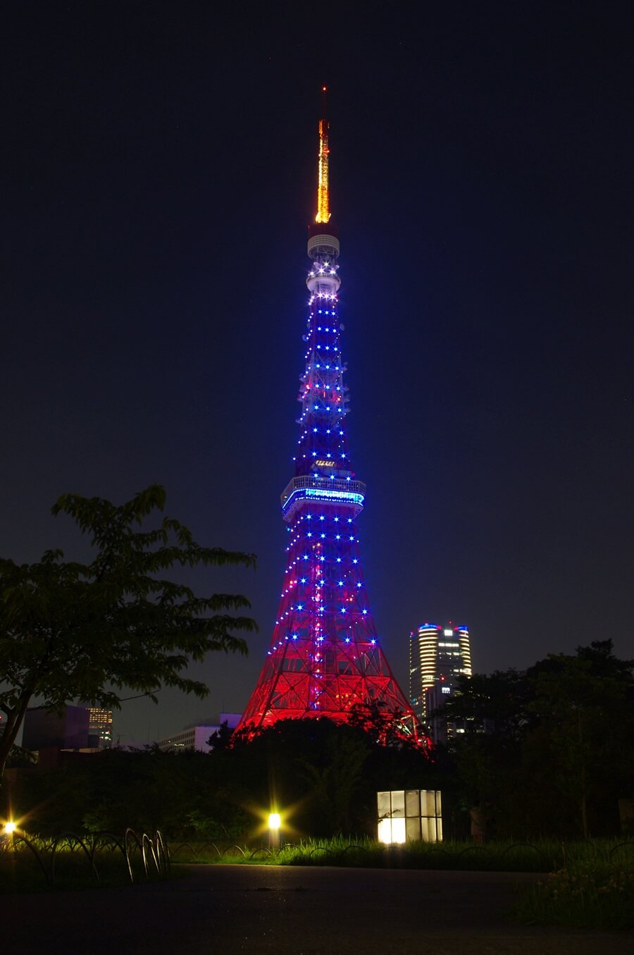 サムライブルーと東京タワー　samurai blue tokyo tower (1)