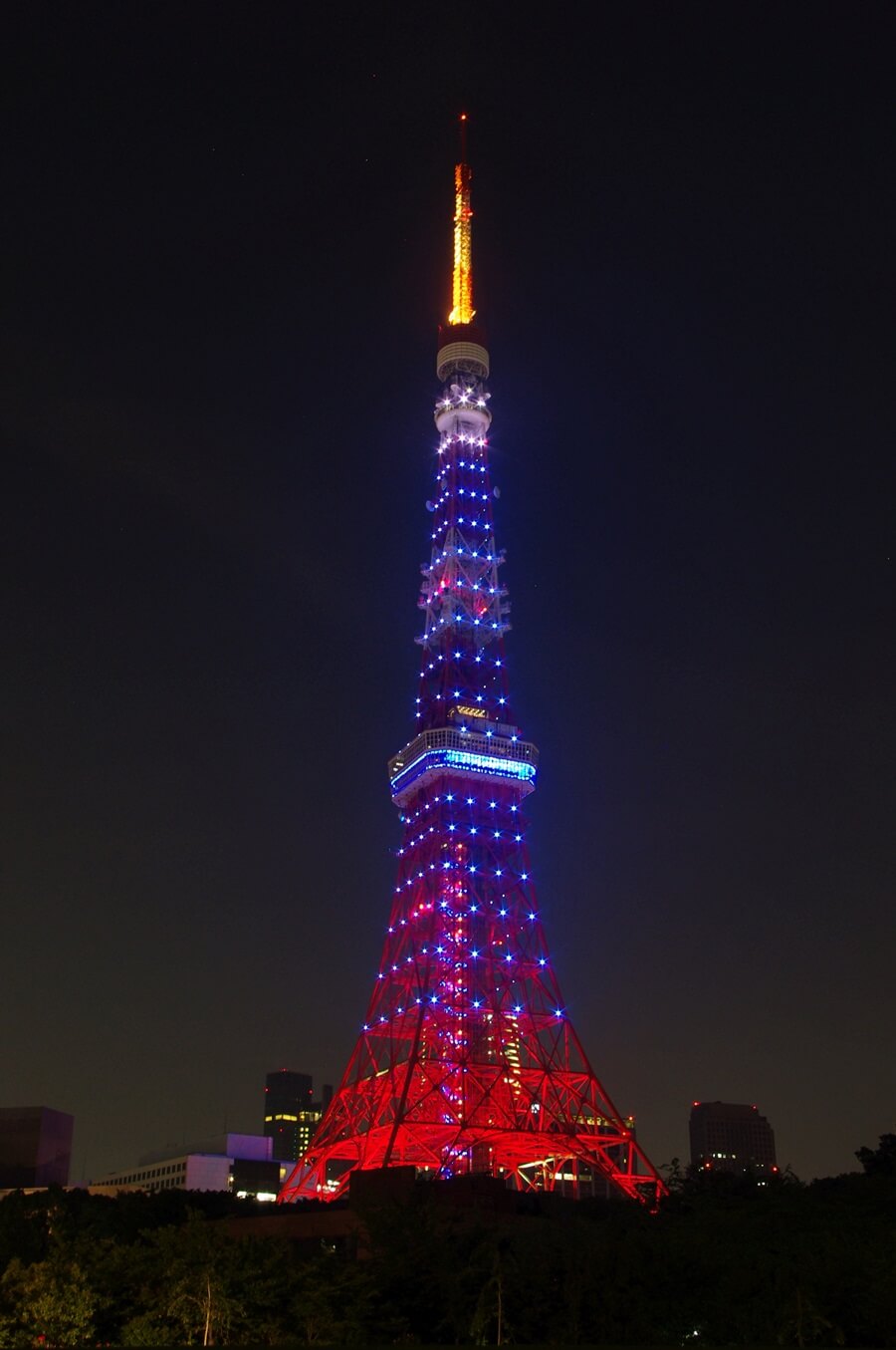サムライブルーと東京タワー　samurai blue tokyo tower (2)