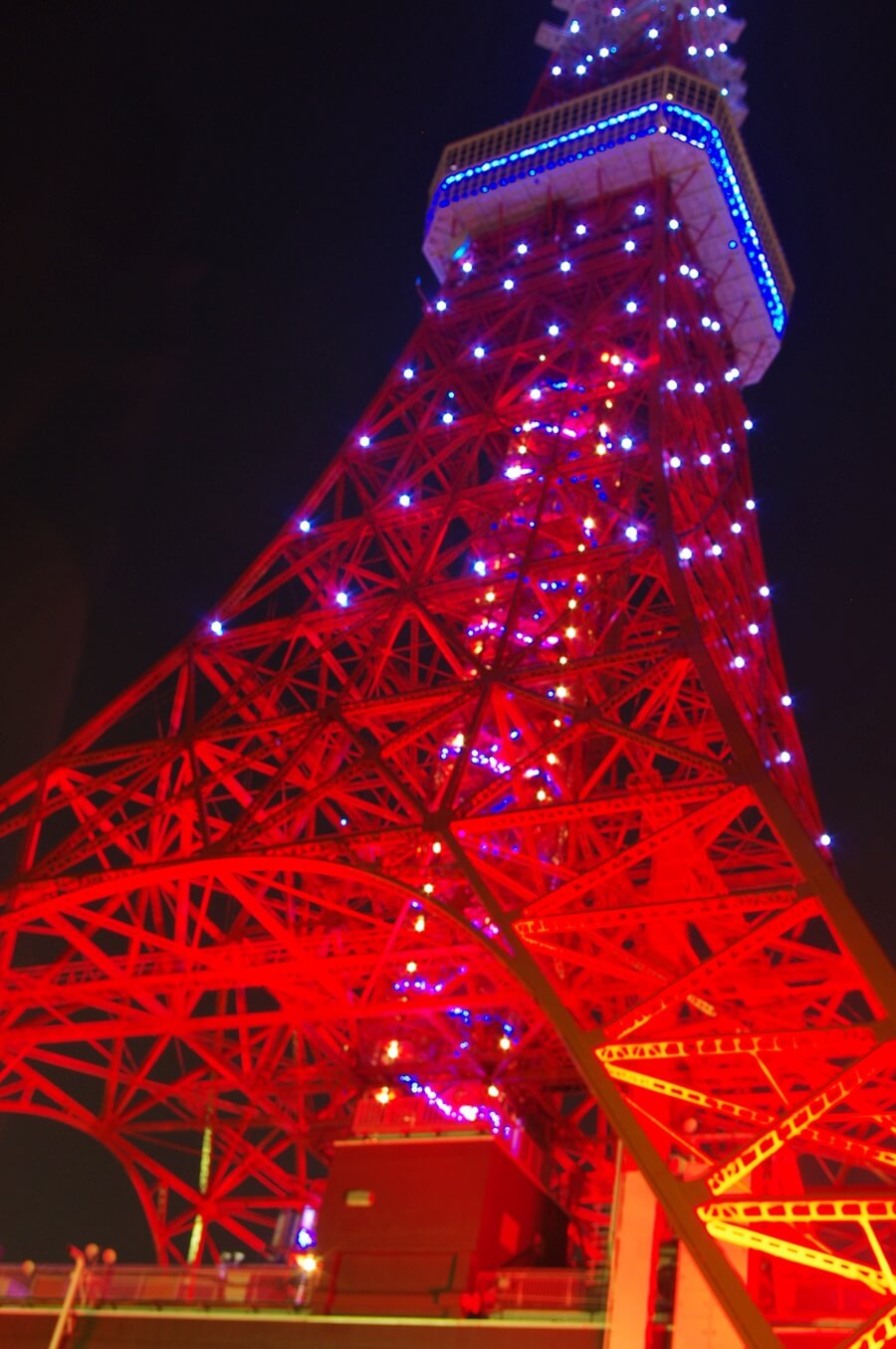 サムライブルーと東京タワー　samurai blue tokyo tower (3)