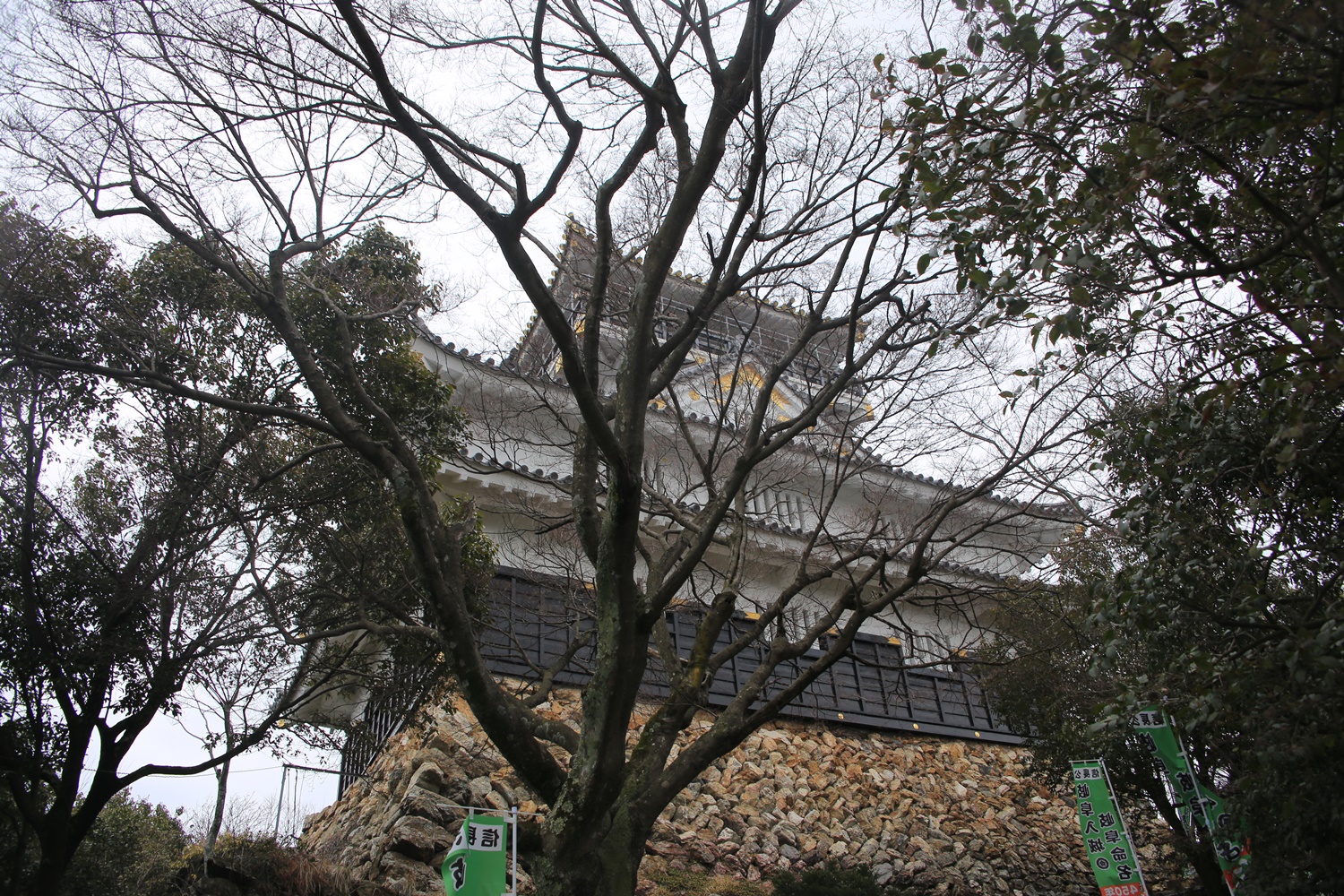 gifu Castle 岐阜城　稲葉山城