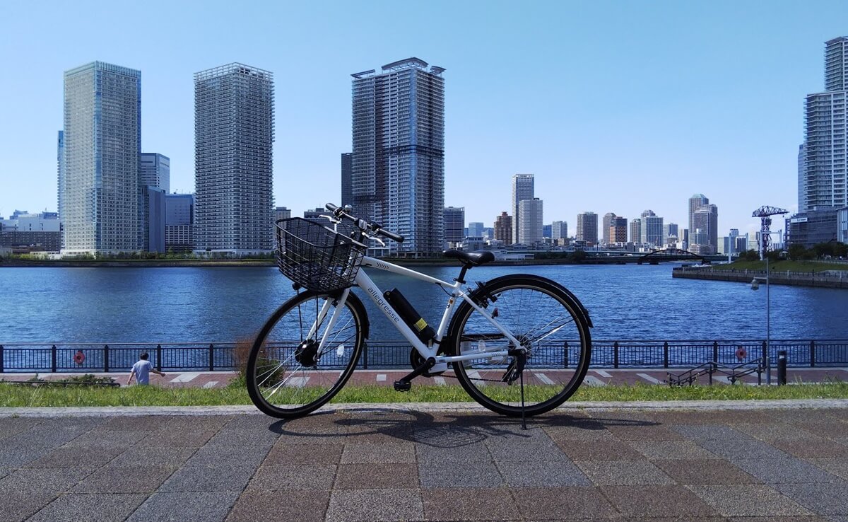 イオンサイクル