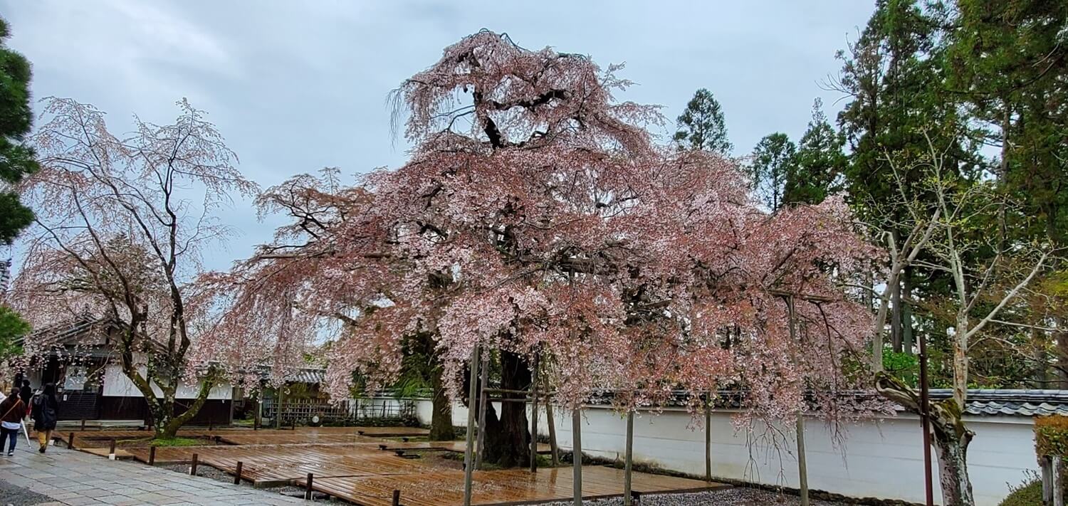 醍醐寺　三宝院庭園