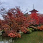 2021秋 京都の旅 vol.14 雨の清水寺。