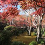 2018 京都の旅 vol.11 大河内山荘。