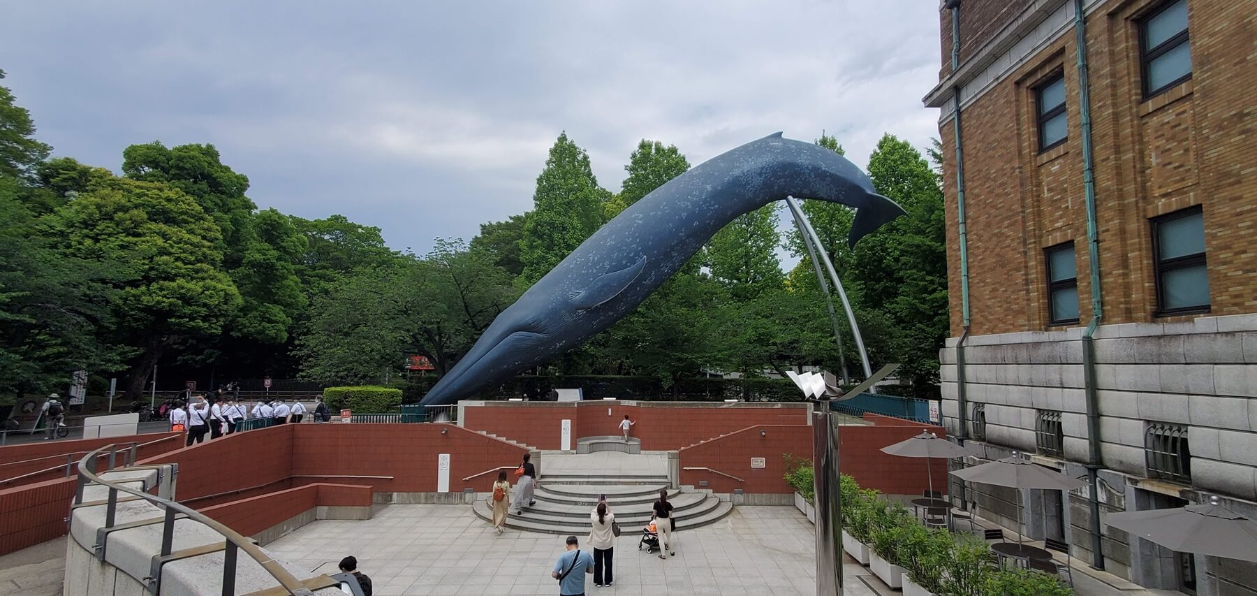 国立科学博物館 National Museum of Nature and Science,Tokyo