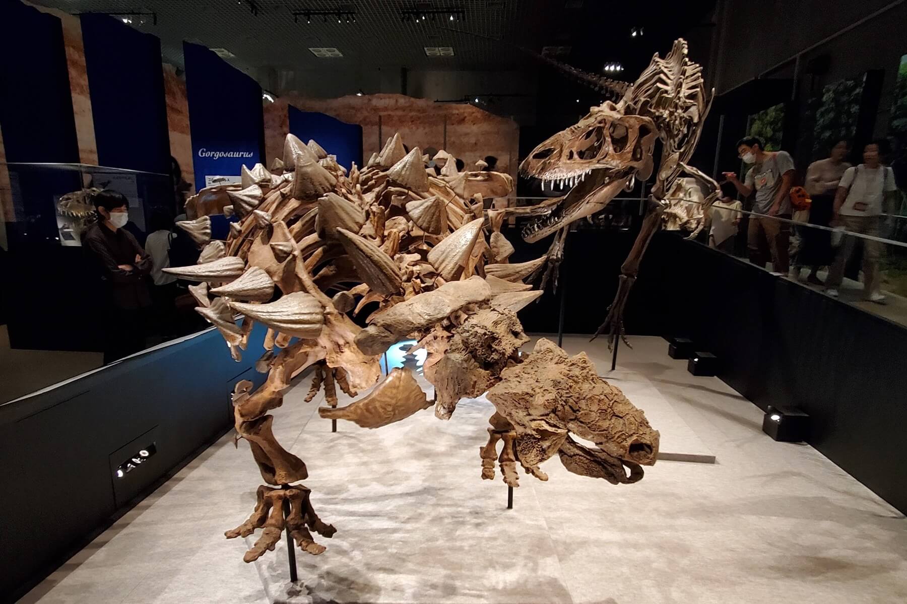 恐竜展2023 国立科学博物館