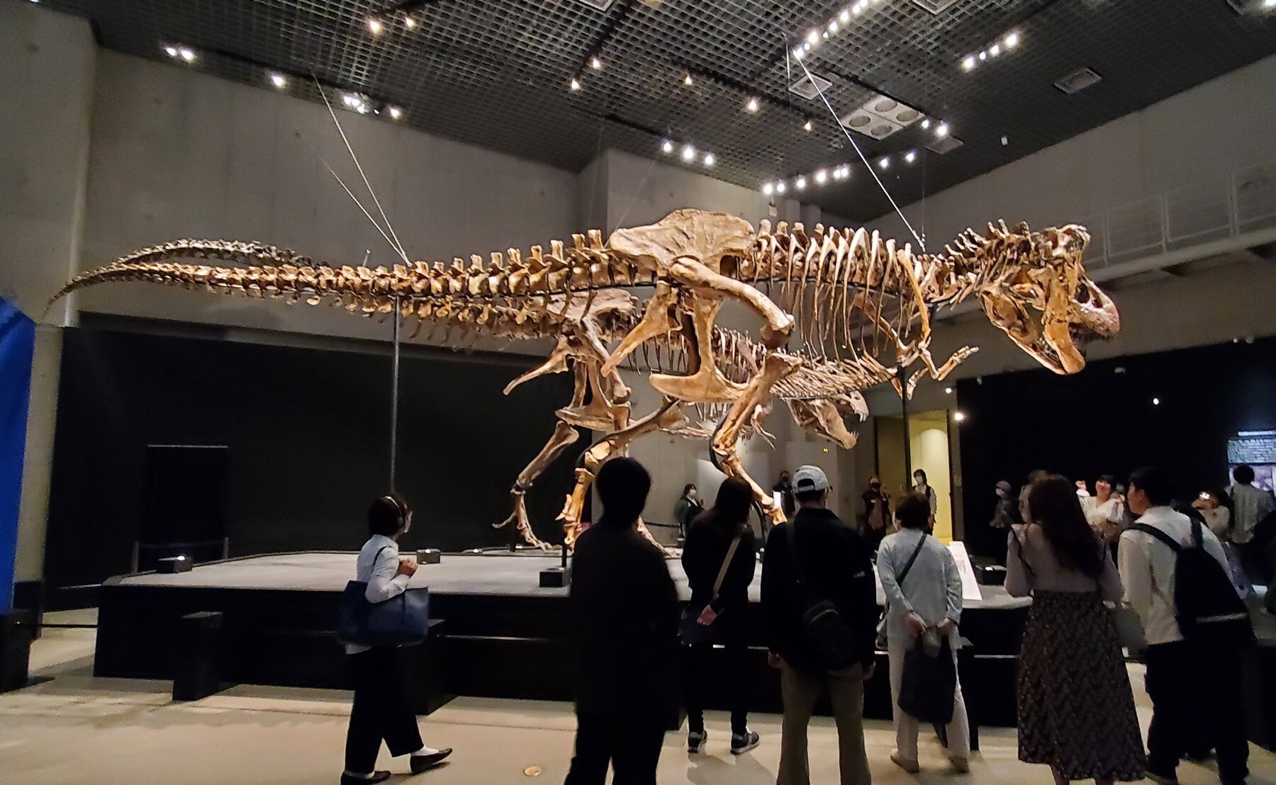恐竜展2023 国立科学博物館
