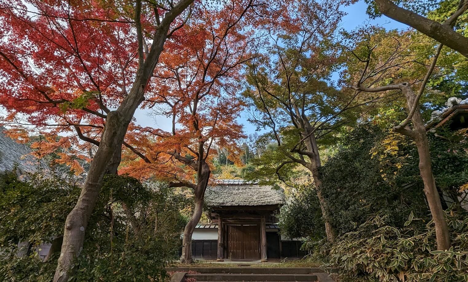 北鎌倉・円覚寺