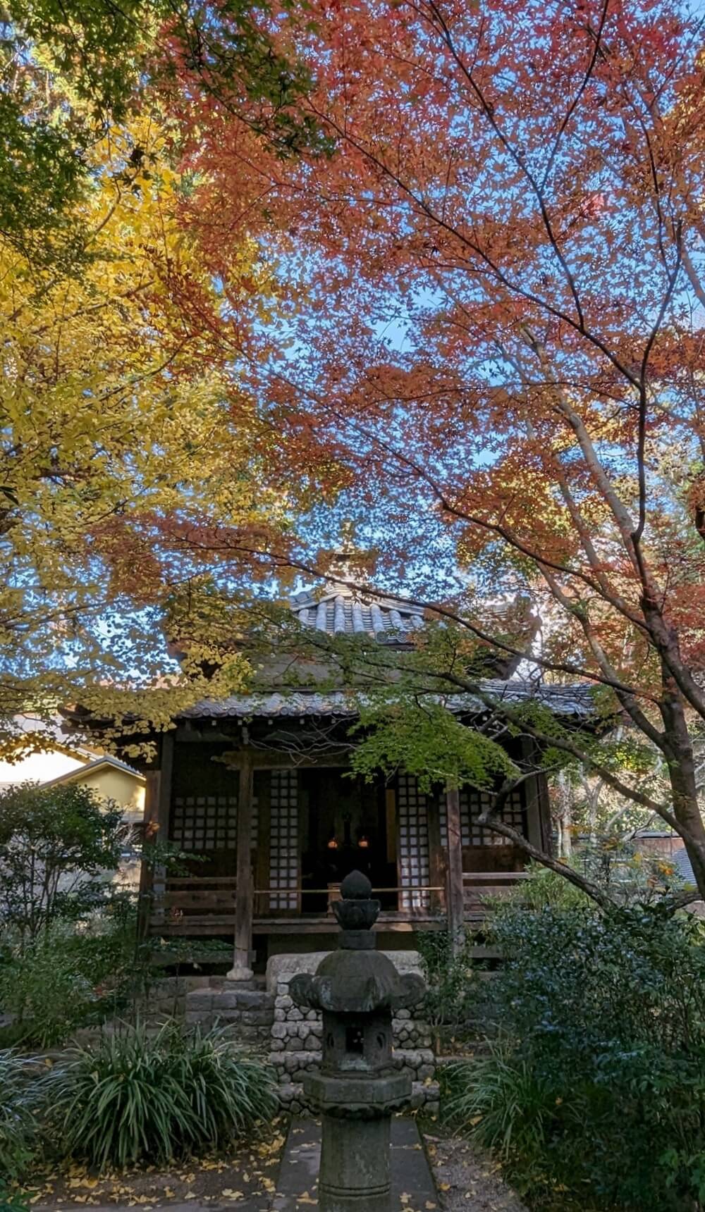 北鎌倉・明月院