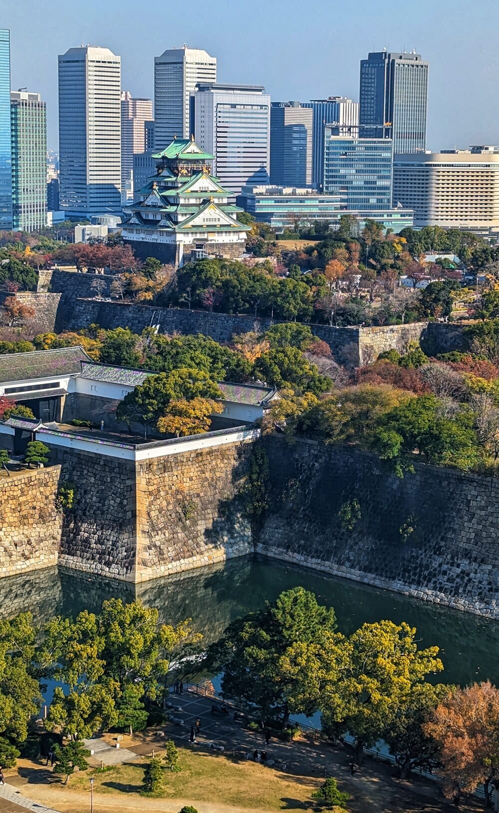 大阪歴史博物館から眺める大阪城